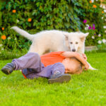 Dog Bite Dog Bite